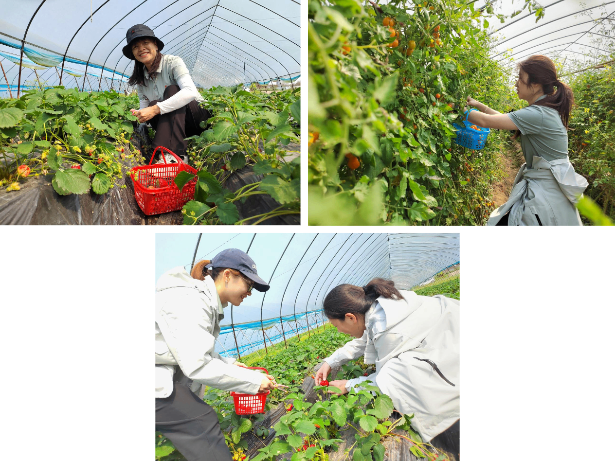 乐天堂fun88·(中国集团)官方网站